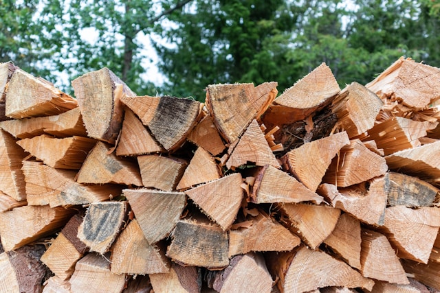 Bois de chauffage - Jeannin Travaux forestiers